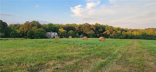 view of yard with a rural view and a view of trees