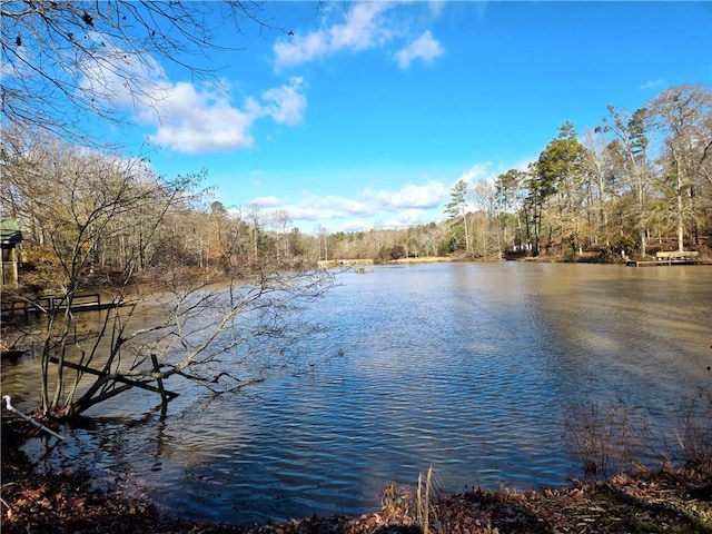 water view with a view of trees