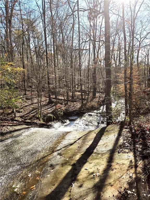 view of local wilderness