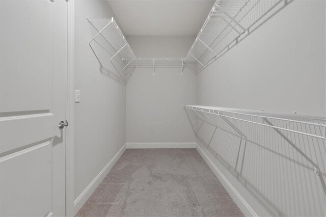 spacious closet featuring light carpet