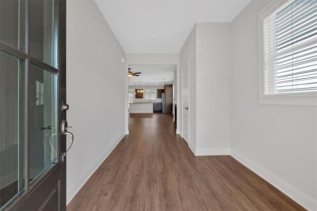 hallway featuring dark wood-type flooring