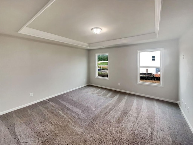 empty room featuring baseboards, a tray ceiling, and carpet flooring