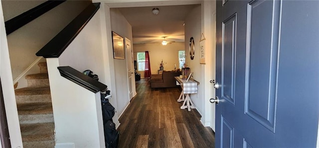 hallway with dark wood-type flooring