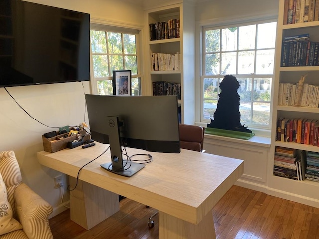 office with a wealth of natural light and wood-type flooring