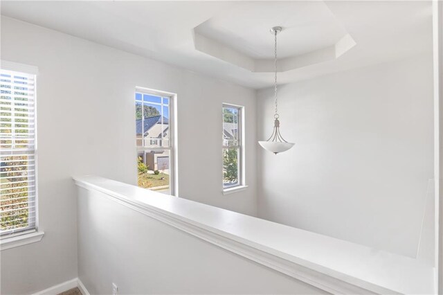 hall featuring plenty of natural light and a tray ceiling