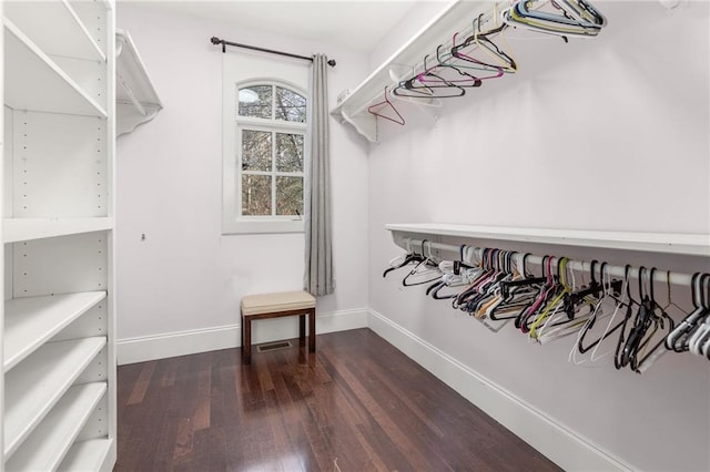 spacious closet featuring dark hardwood / wood-style flooring