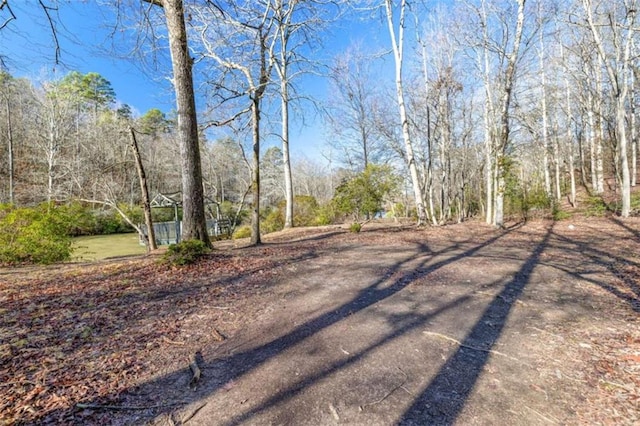 view of yard featuring dirt driveway