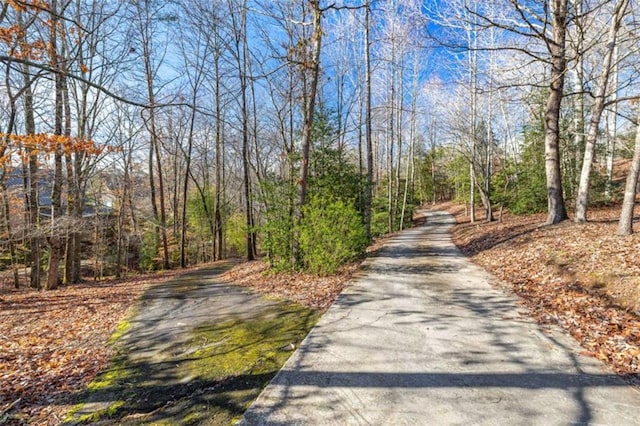 view of road featuring a view of trees