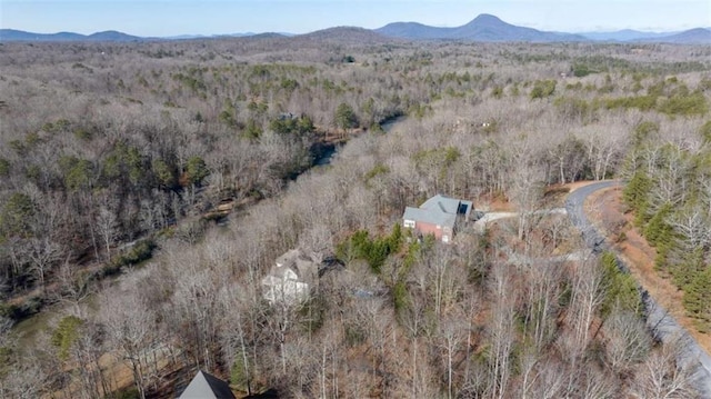 drone / aerial view featuring a mountain view