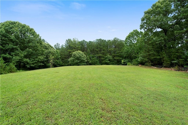 790 Friendship Church Rd, Douglasville, GA 30134 - view of green lawn