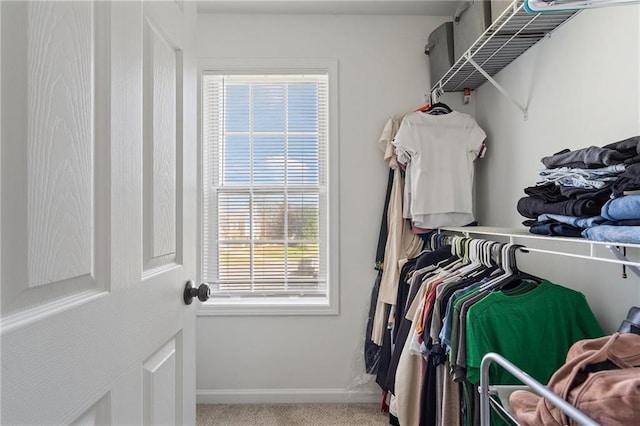 4901 Wilkie Way NW, Acworth, GA 30102 - spacious closet featuring carpet floors