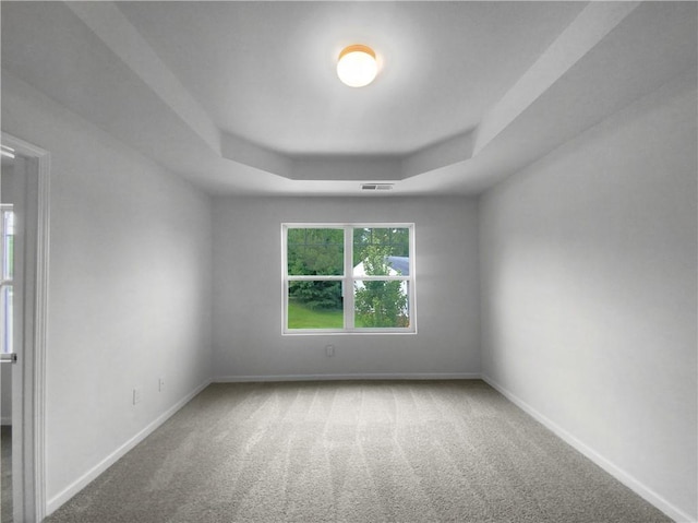 spare room featuring a raised ceiling and carpet flooring