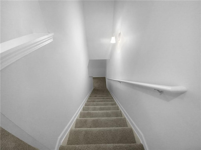 staircase featuring carpet flooring