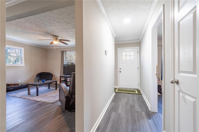 corridor featuring crown molding, a textured ceiling, and wood finished floors