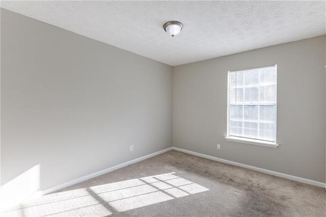 empty room featuring light colored carpet and a textured ceiling