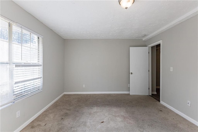 spare room with light colored carpet