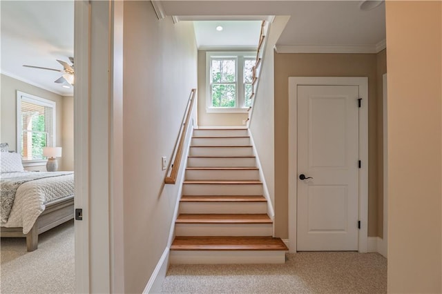 stairway featuring carpet floors, a ceiling fan, baseboards, and ornamental molding