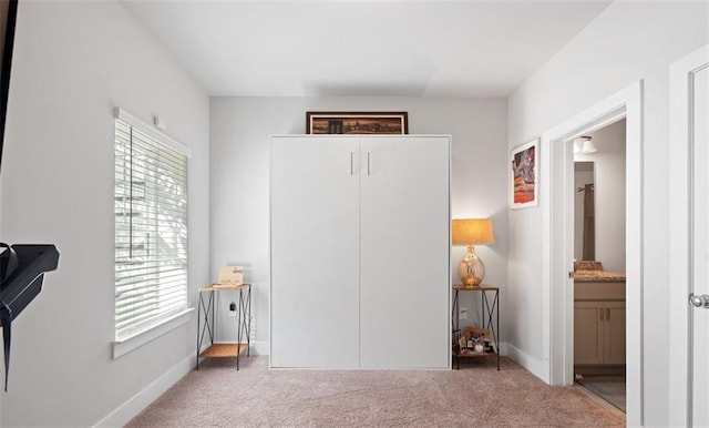 interior space featuring carpet and a healthy amount of sunlight