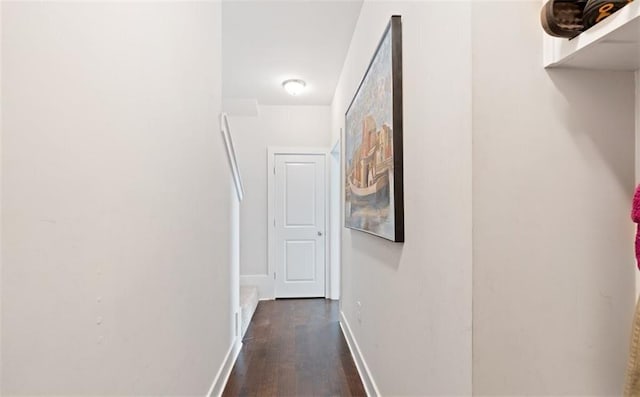 hall featuring dark hardwood / wood-style floors