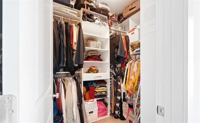 spacious closet with carpet flooring