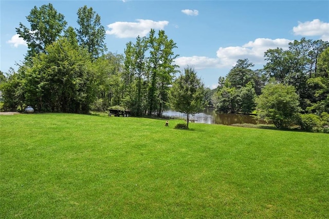 12 Windsor Way, Newnan, GA 30263 - view of grassy yard featuring a water view