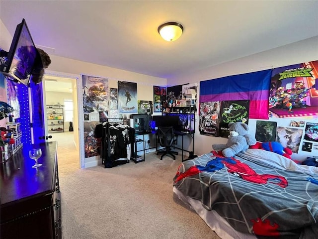 bedroom with carpet flooring