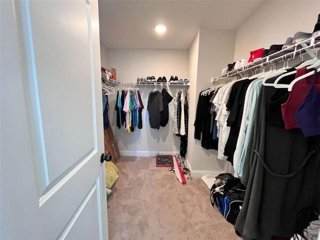 walk in closet featuring carpet