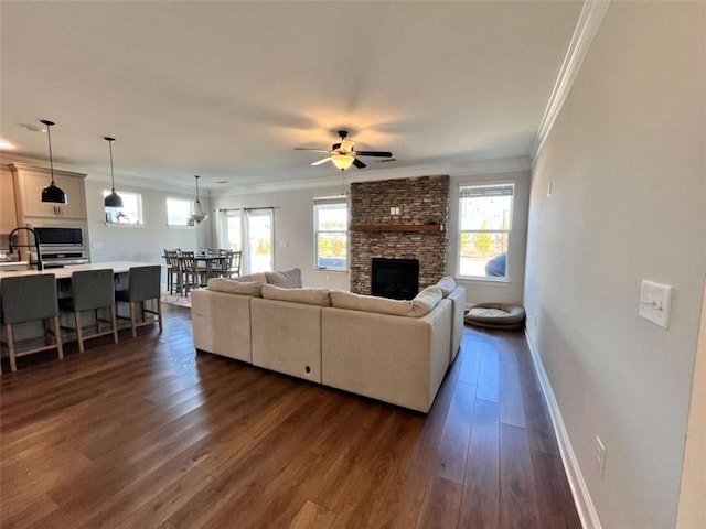 living room featuring crown molding, a stone fireplace, ceiling fan, and dark hardwood / wood-style flooring