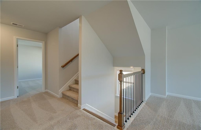 staircase with carpet flooring