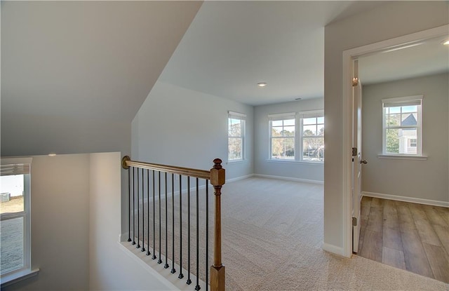 stairway featuring plenty of natural light and carpet