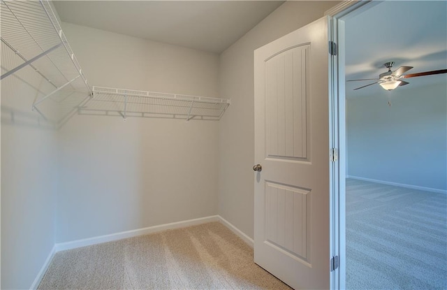 walk in closet featuring carpet floors and ceiling fan