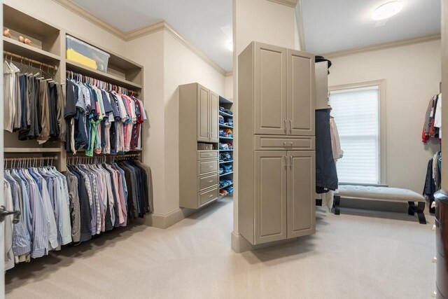 walk in closet with light colored carpet