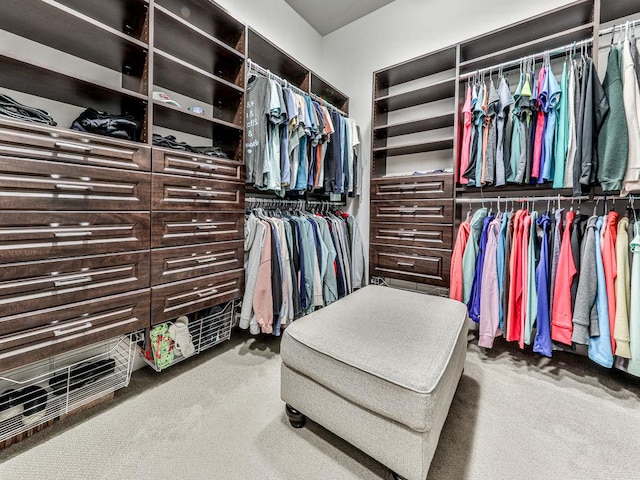 5039 Towne Lake Hls N, Woodstock, GA 30189 - walk in closet featuring carpet