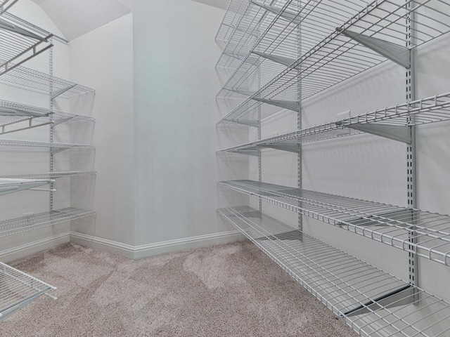 5039 Towne Lake Hls N, Woodstock, GA 30189 - view of storage area