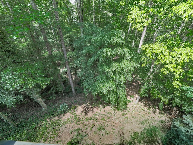 5039 Towne Lake Hls N, Woodstock, GA 30189 - view of undeveloped land