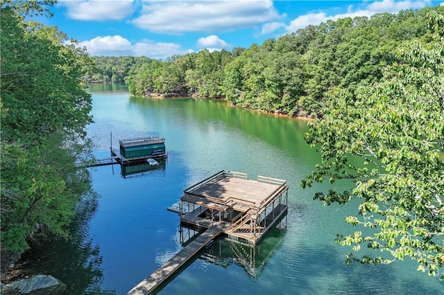 3464 Carolyn St, Gainesville, GA 30504 - dock area with a water view and a view of trees