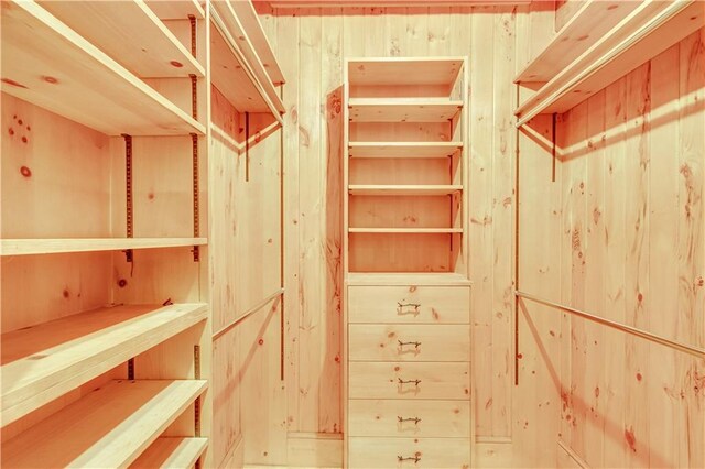 3464 Carolyn St, Gainesville, GA 30504 - view of walk in closet