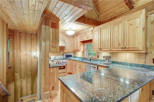 3464 Carolyn St, Gainesville, GA 30504 - kitchen with appliances with stainless steel finishes, wood ceiling, light brown cabinetry, under cabinet range hood, and dark stone countertops
