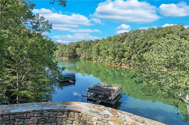 3464 Carolyn St, Gainesville, GA 30504 - dock with a water view and a wooded view