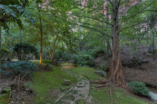 3464 Carolyn St, Gainesville, GA 30504 - view of yard with a forest view