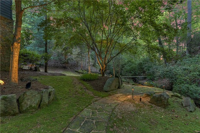 3464 Carolyn St, Gainesville, GA 30504 - view of yard featuring a wooded view