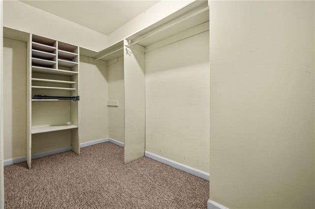 1229 Colony Cir, Marietta, GA 30068 - walk in closet with carpet