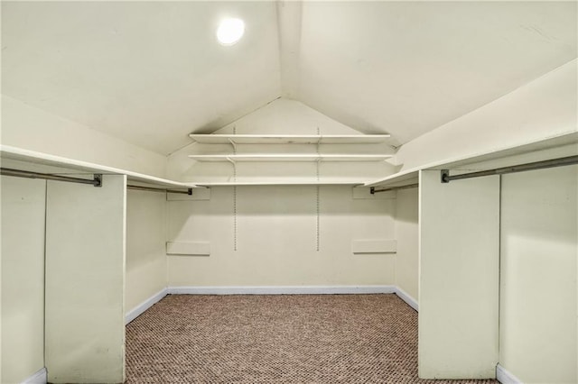 1229 Colony Cir, Marietta, GA 30068 - spacious closet with lofted ceiling and carpet floors