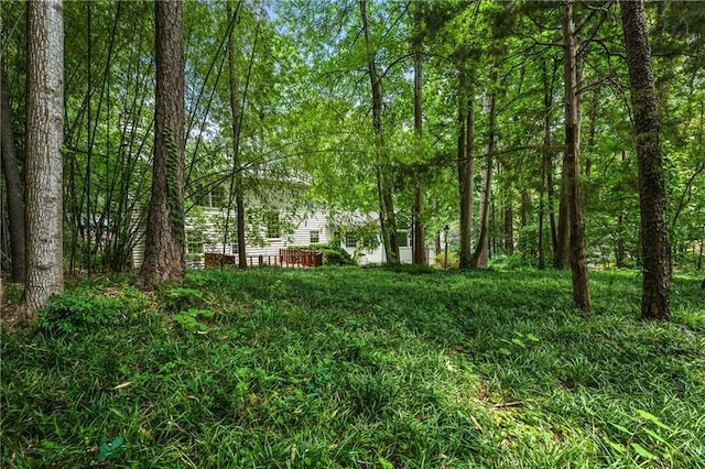 1229 Colony Cir, Marietta, GA 30068 - view of yard