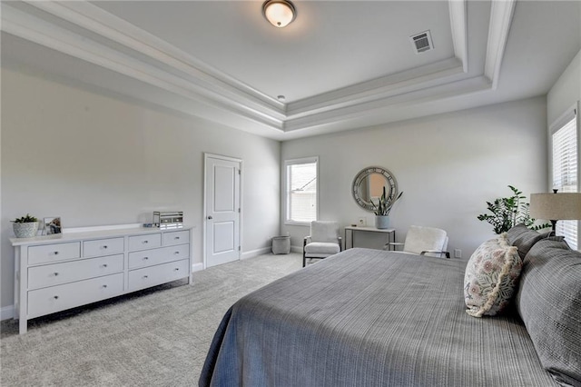 carpeted bedroom with a raised ceiling