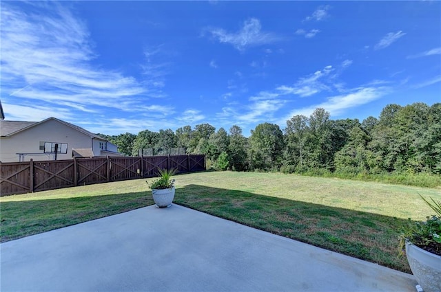 view of yard with a patio