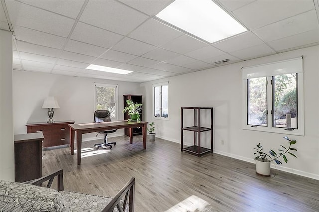 office featuring a drop ceiling and hardwood / wood-style flooring