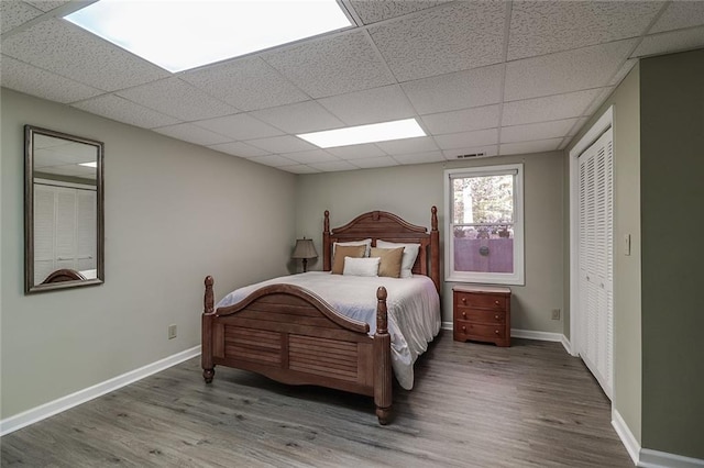 bedroom featuring a paneled ceiling, a closet, and hardwood / wood-style flooring