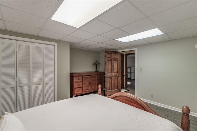 bedroom with a drop ceiling, a closet, and dark wood-type flooring