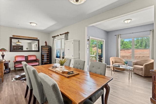 dining room featuring plenty of natural light and light hardwood / wood-style flooring